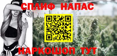 тгк Будённовск