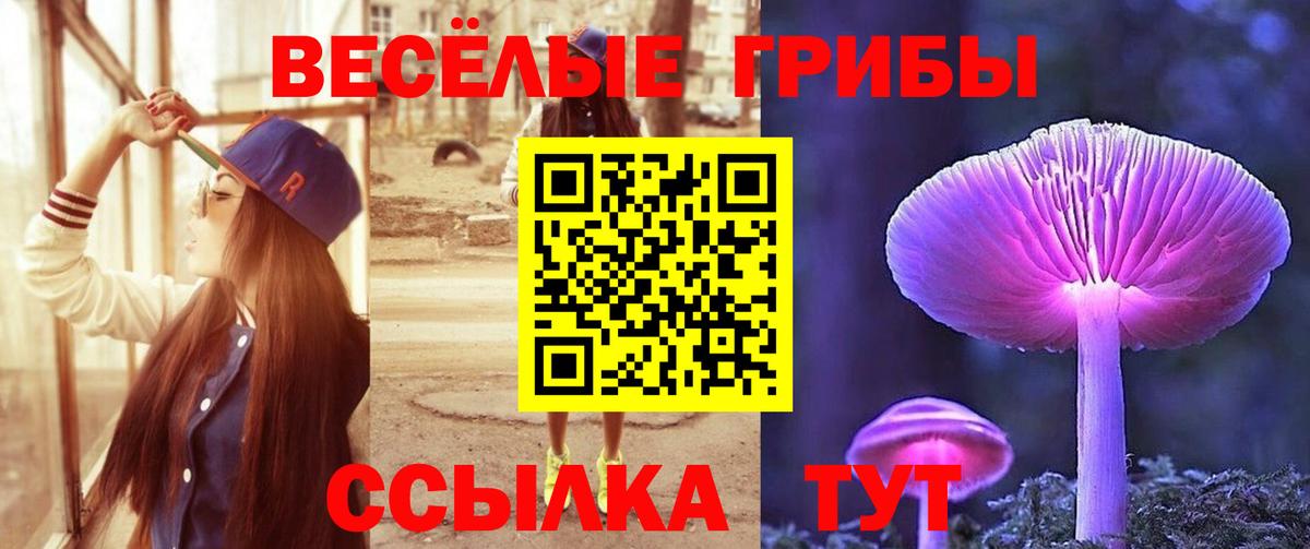 Шатура  магазин    Вход с VPN  Псилоцибиновые грибы Psilocybe  Псилоцибиновые грибы прущие грибы 